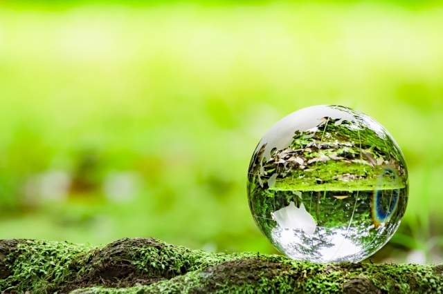 環境サステナビリティのイメージ 水滴と苔