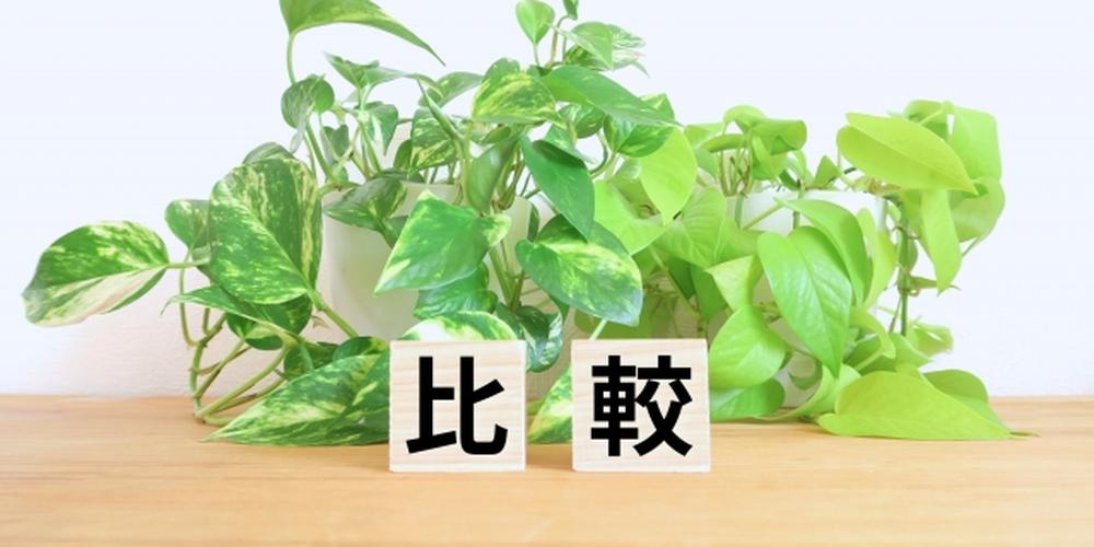 観葉植物と木製ブロックに「比較」と書かれたナチュラルテイストのイメージ画像